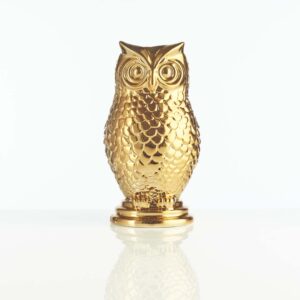 A 17oz copper owl tiki mug that holds 17 ounces of your favorite drink. Set on a white background.